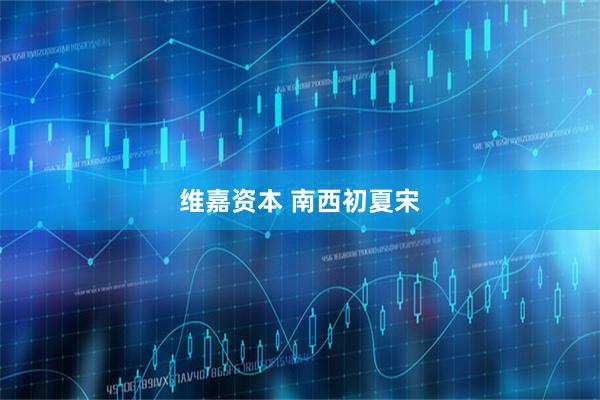 维嘉资本 南西初夏宋