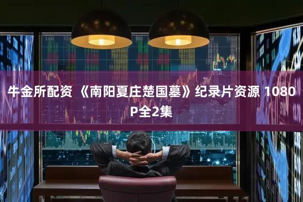 牛金所配资 《南阳夏庄楚国墓》纪录片资源 1080P全2集