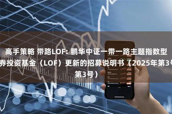 高手策略 带路LOF: 鹏华中证一带一路主题指数型证券投资基金（LOF）更新的招募说明书（2025年第3号）