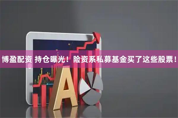博盈配资 持仓曝光！险资系私募基金买了这些股票！