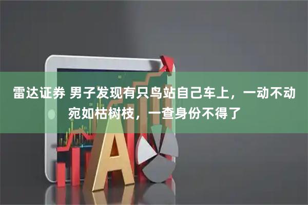 雷达证券 男子发现有只鸟站自己车上，一动不动宛如枯树枝，一查身份不得了