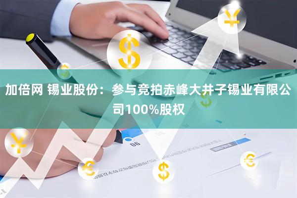 加倍网 锡业股份：参与竞拍赤峰大井子锡业有限公司100%股权
